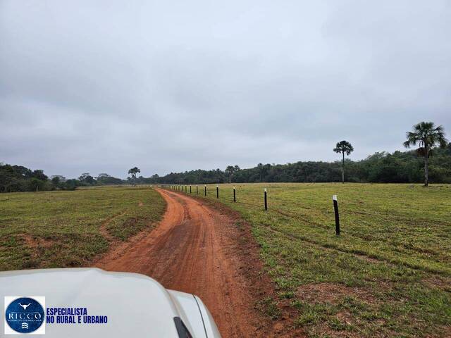 Fazenda para Venda em Ituiutaba - 4