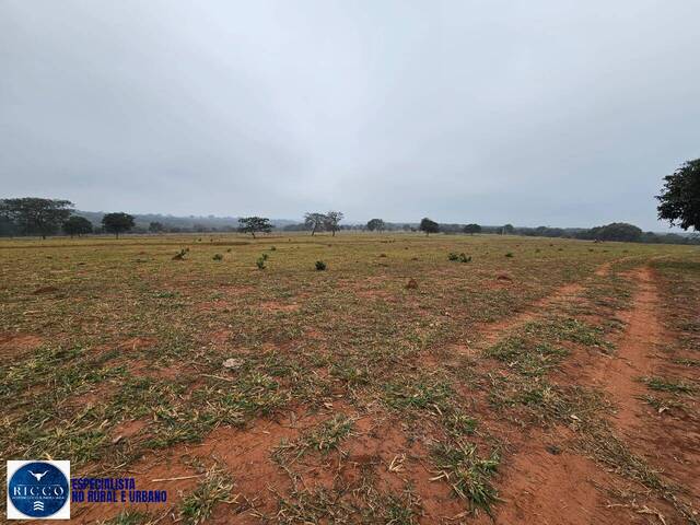 #3940 - Fazenda para Venda em Ituiutaba - MG