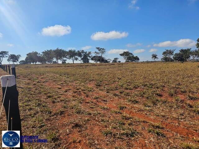#3941 - Fazenda para Venda em Bom Jardim de Minas - MG