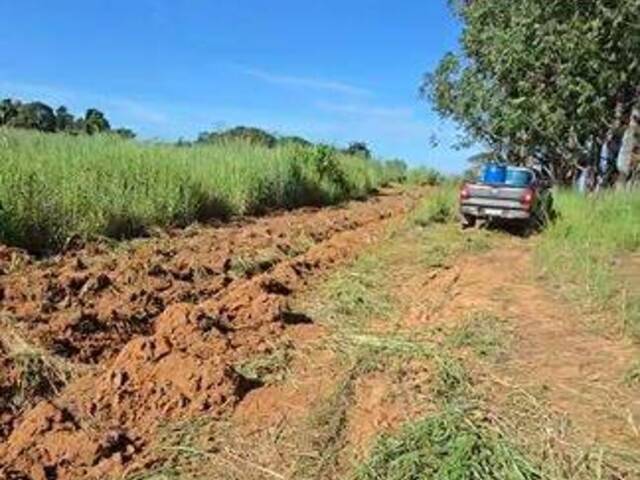 #3942 - Fazenda para Venda em Anápolis - GO