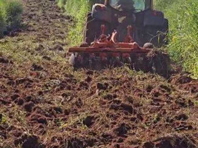 #3942 - Fazenda para Venda em Anápolis - GO