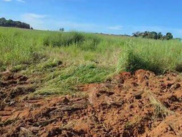#3942 - Fazenda para Venda em Anápolis - GO