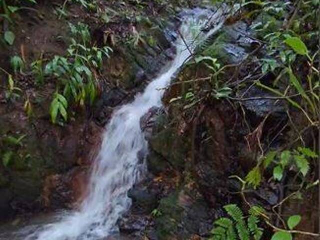 Venda em Área Rural de Anápolis - Anápolis