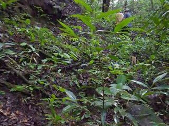 Fazenda para Venda em Anápolis - 5