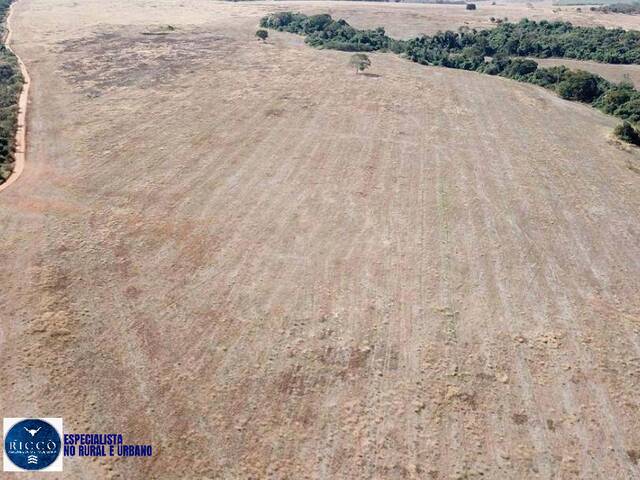 #3943 - Fazenda para Venda em Silvânia - GO