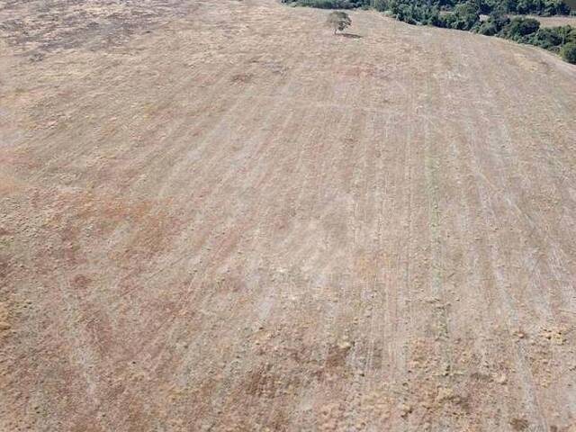 Fazenda para Venda em Silvânia - 5