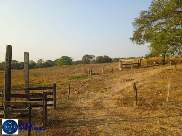 Venda em zona rural - Silvânia