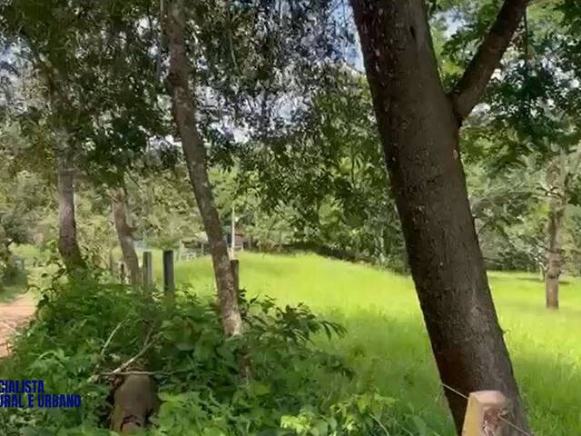 Chácara para Venda em Silvânia - 5