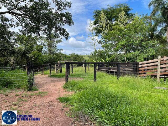 #3945 - Chácara para Venda em Silvânia - GO