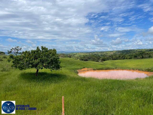 #3945 - Chácara para Venda em Silvânia - GO