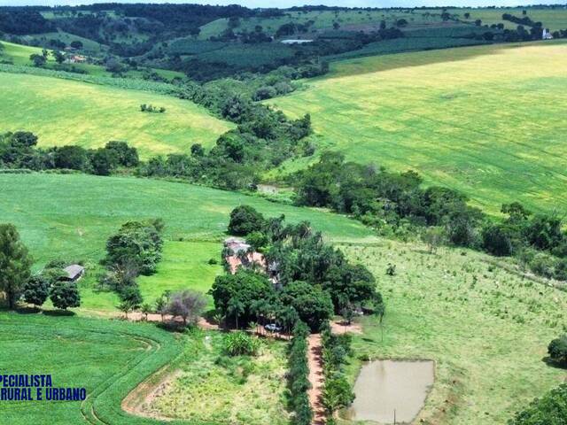 #3946 - Fazenda para Venda em Anápolis - GO