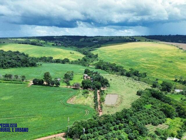 #3946 - Fazenda para Venda em Anápolis - GO