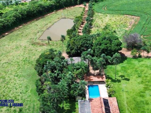 Venda em Área Rural de Anápolis - Anápolis