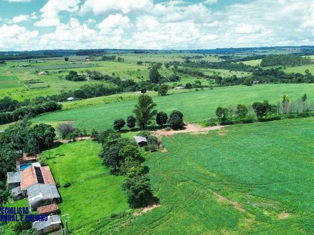 #3946 - Fazenda para Venda em Anápolis - GO