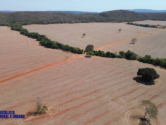 #3947 - Fazenda para Venda em Montes Claros de Goiás - GO