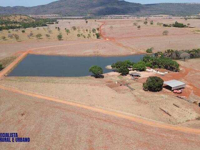 #3947 - Fazenda para Venda em Montes Claros de Goiás - GO