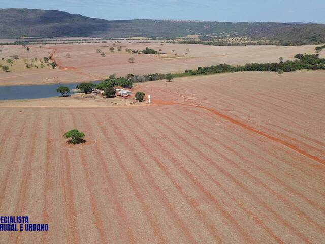 #3947 - Fazenda para Venda em Montes Claros de Goiás - GO
