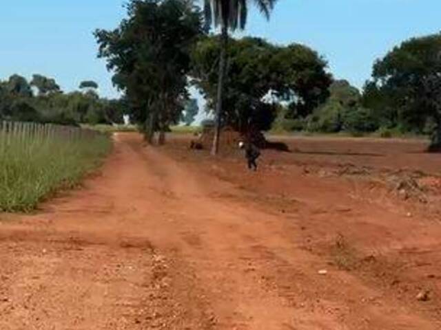 #3948 - Fazenda para Venda em São Luís de Montes Belos - GO
