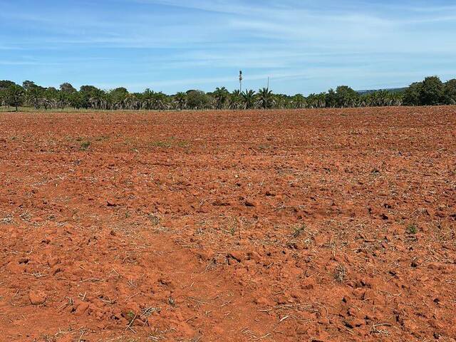 #3948 - Fazenda para Venda em São Luís de Montes Belos - GO