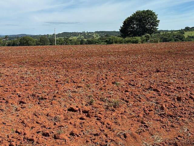 #3948 - Fazenda para Venda em São Luís de Montes Belos - GO