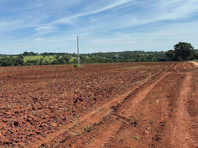 Venda em zona rural - São Luís de Montes Belos