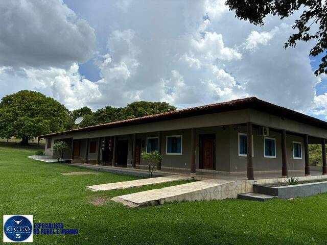 #3949 - Fazenda para Venda em Goiás - GO