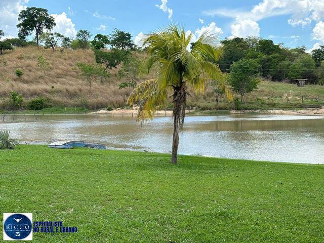 Venda em zona rural - Goiás