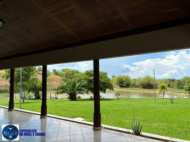 #3949 - Fazenda para Venda em Goiás - GO