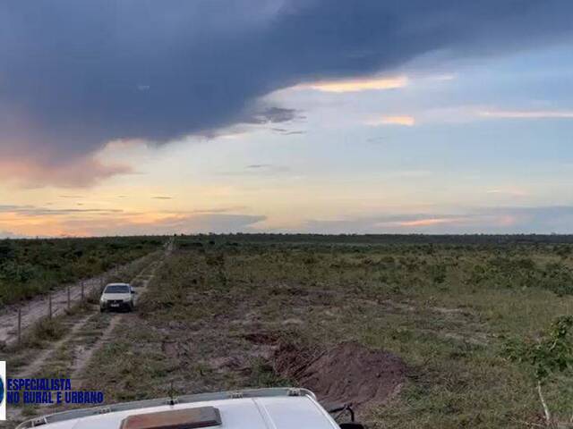 #3951 - Fazenda para Venda em Nova Lacerda - MT