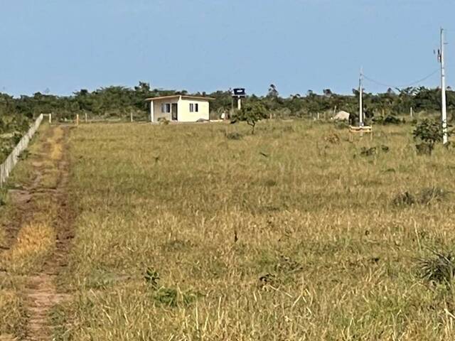 #3951 - Fazenda para Venda em Nova Lacerda - MT