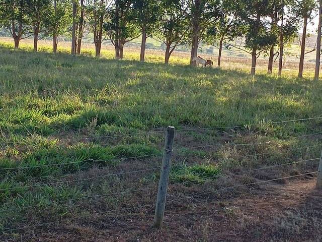 #3954 - Fazenda para Venda em Piracanjuba - GO