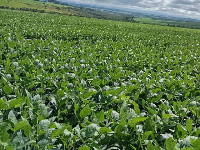 #3954 - Fazenda para Venda em Piracanjuba - GO