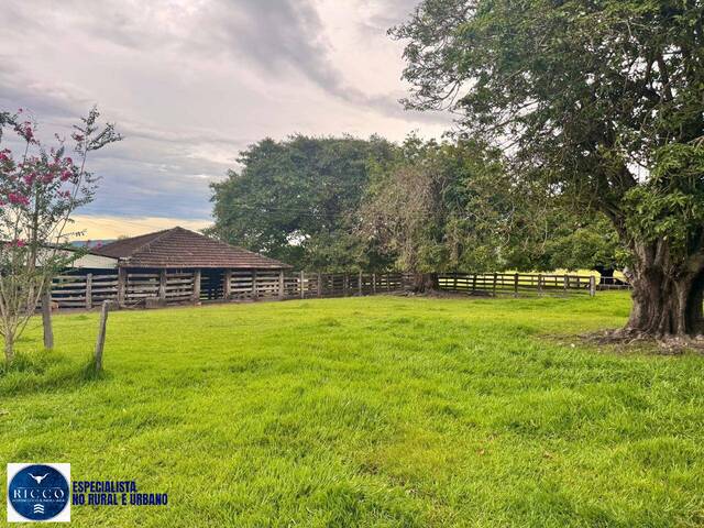 #3956 - Fazenda para Venda em Crixás - GO