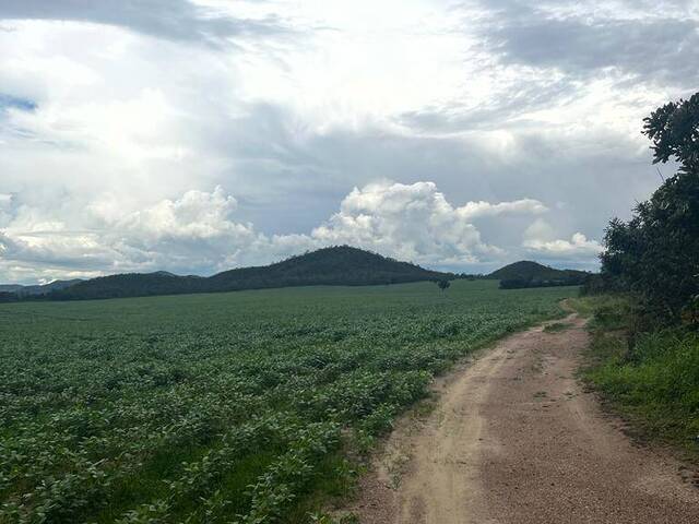 #3958 - Fazenda para Venda em Uruaçu - GO