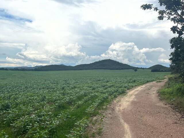 Fazenda para Venda em Uruaçu - 4
