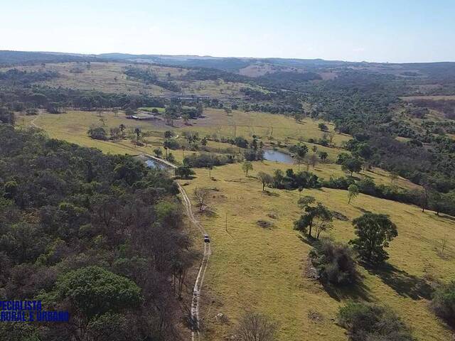 #3858 - Fazenda para Venda em Indiara - GO