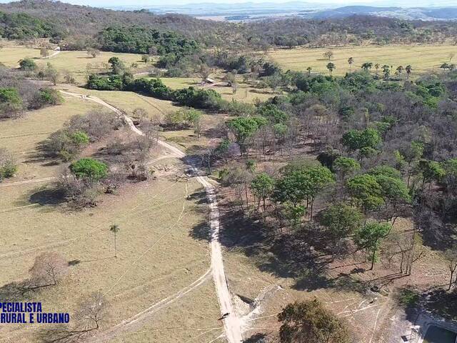 Fazenda para Venda em Indiara - 5