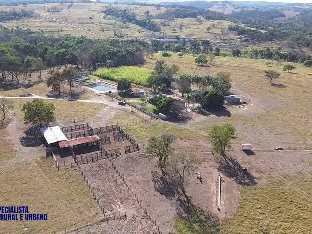 #3858 - Fazenda para Venda em Indiara - GO