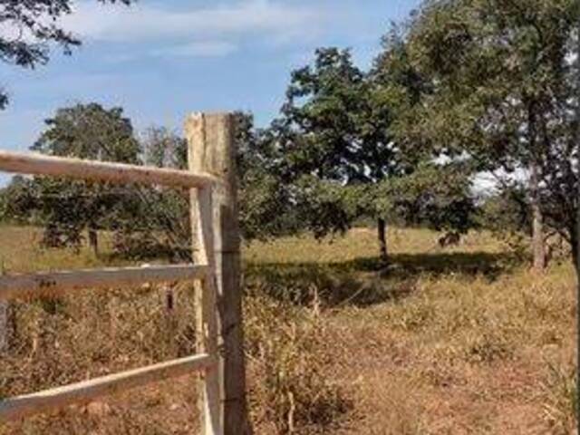 Sítio para Venda em Rubiataba - 4
