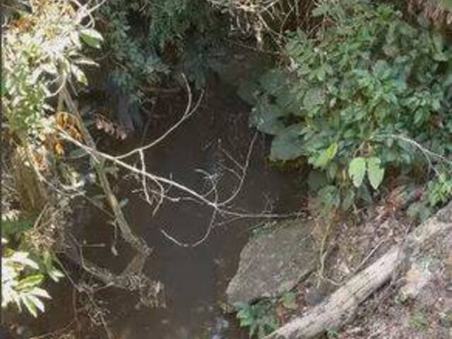 #3961 - Fazenda para Venda em Rubiataba - GO