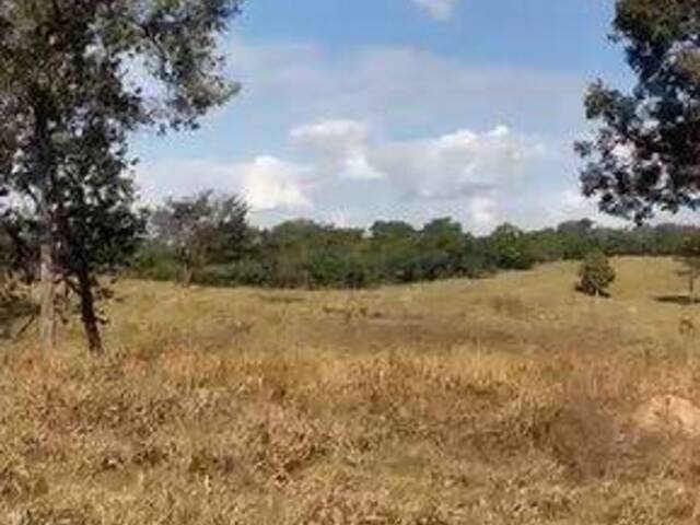 Sítio para Venda em Rubiataba - 5