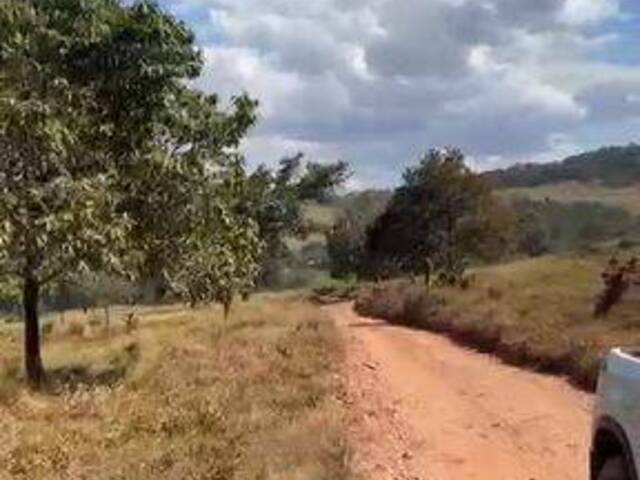 #3961 - Fazenda para Venda em Rubiataba - GO