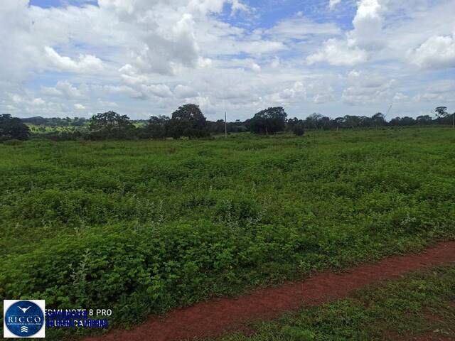 #3964 - Fazenda para Venda em Amorinópolis - GO