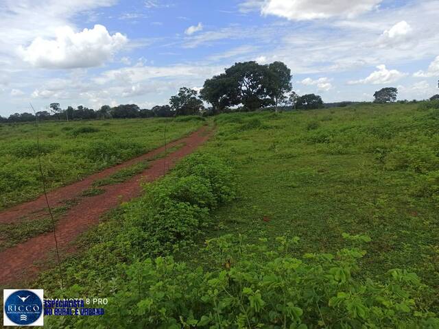 #3964 - Fazenda para Venda em Amorinópolis - GO