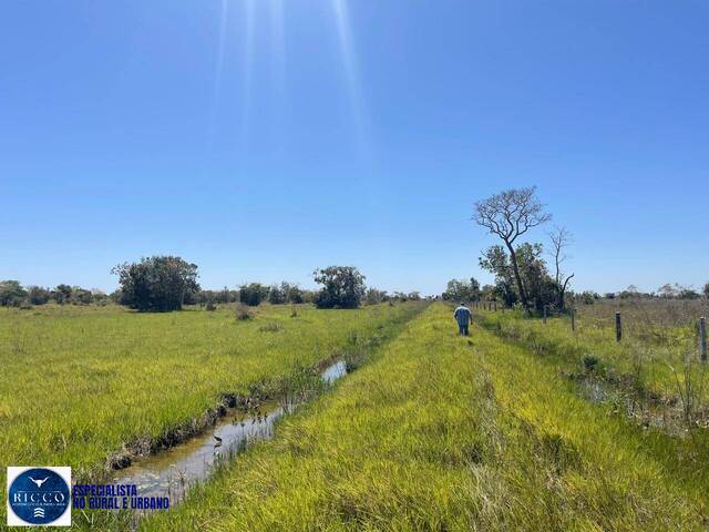 #3966 - Fazenda para Venda em Barra do Garças - MT