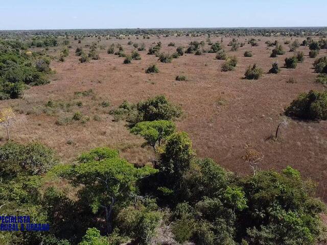 #3966 - Fazenda para Venda em Barra do Garças - MT