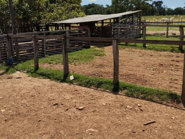 #3967 - Fazenda para Venda em Campestre de Goiás - GO