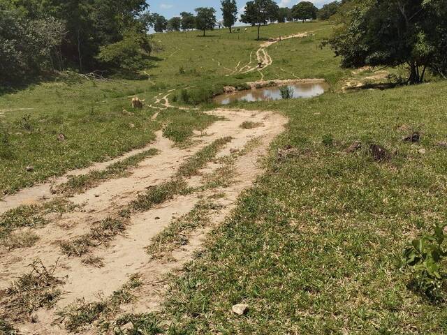 #3967 - Fazenda para Venda em Campestre de Goiás - GO