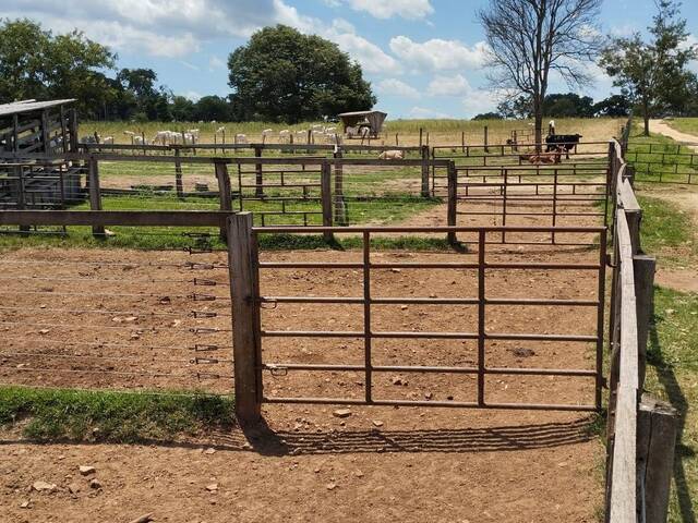 Fazenda para Venda em Campestre de Goiás - 4
