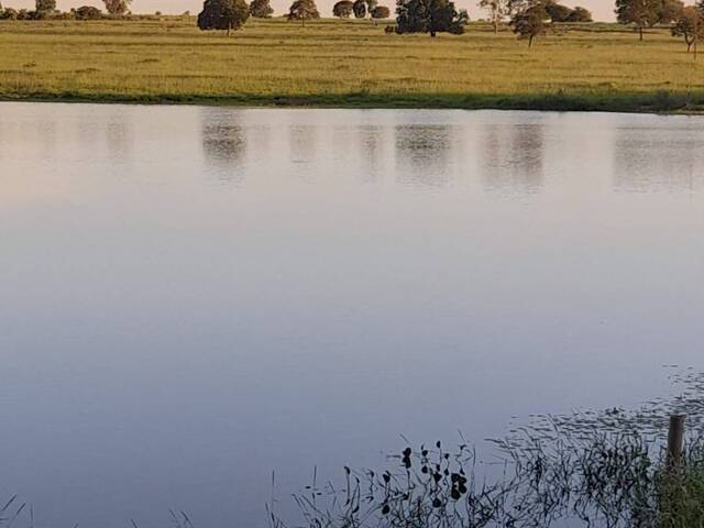 #3969 - Fazenda para Venda em Mundo Novo - GO